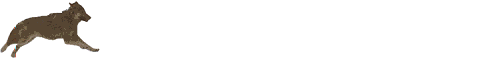 wolfrun21