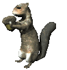 squirrel_eating_md_clr.gif