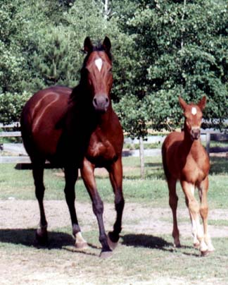 Dyan and Matisse