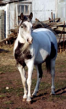 Maugorzata a.k.a. Maggie