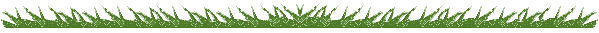 a grass divider