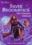 To Ride A Silver Broomstick