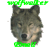 WOLFHDML