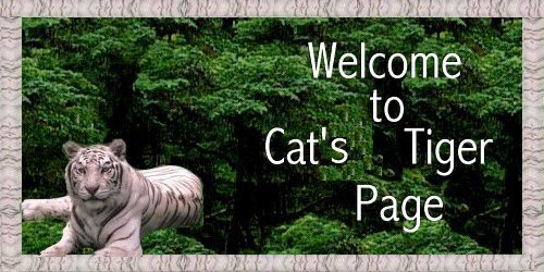 Cat's Welcome