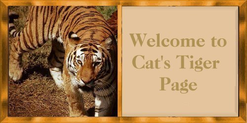 Cat's Welcome