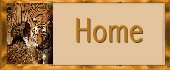 Home Button
