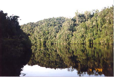 See the reflection?