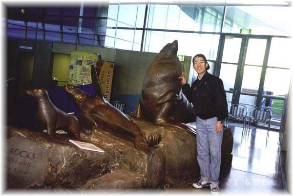 Seal Centre, Phillip Island, Melbourne