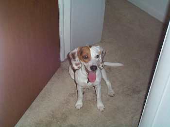 Betty smiles