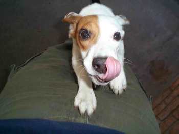 Yum yum!