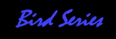 Bird series