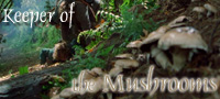 Keeper of the Mushrooms