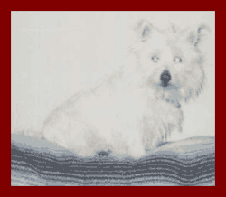 Click here to connect to a web site full of Westie items for sale!