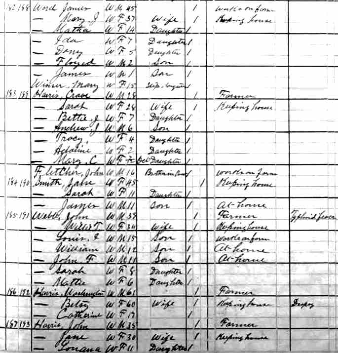 1880 Alabama Etowah ED 64 Page 303A