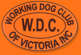 WDCV Logo