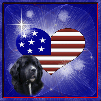 Proud to be an American