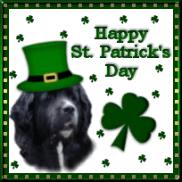 "HAPPY ST. PATRICK'S DAY"