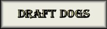 Draft Dogs
