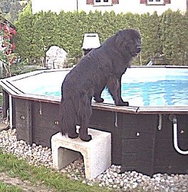 Herki ~Lifeguard~