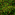 Jungle World