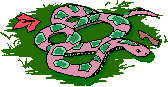 Snake 1