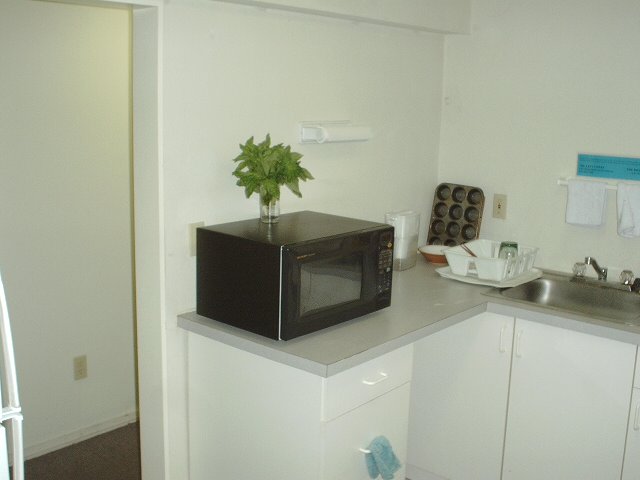 level1 photo
