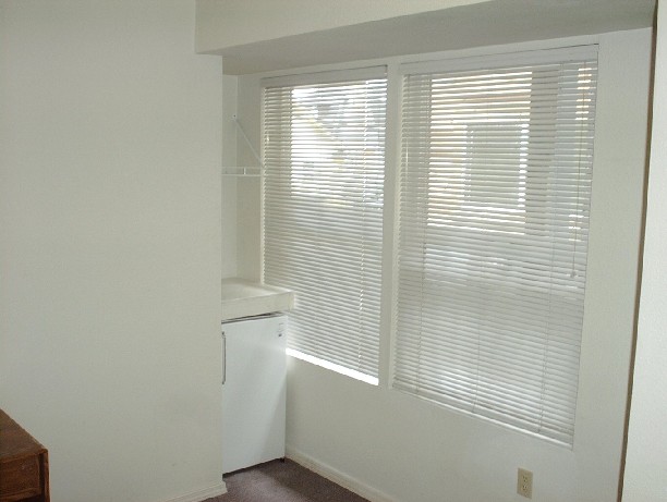 room11 photo