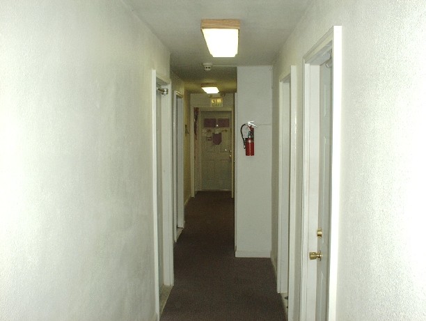 level3 photo