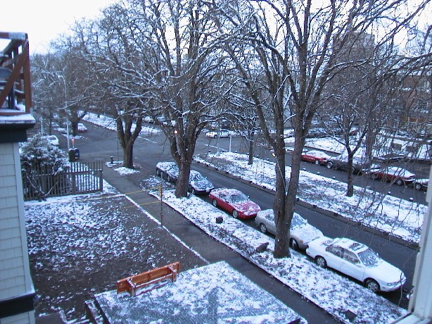 snow photo