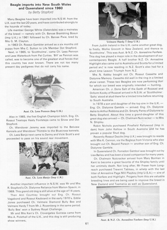http://www.oocities.org/worldofbeagles/Qldnsimp.jpg (361960 bytes)