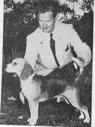 http://www.oocities.org/worldofbeagles/atomII.gif (71980 bytes)