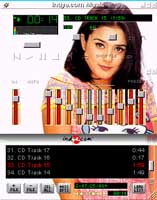 Preity Zinta