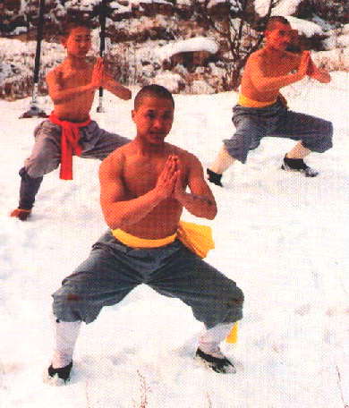ma bu in snow