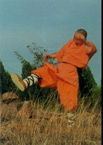 lying tiger skill