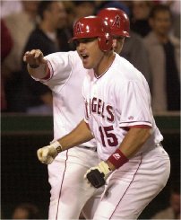 Tim salmons