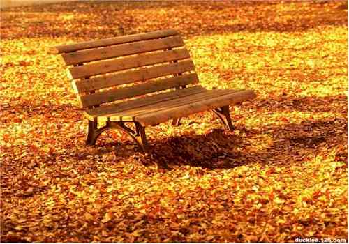 Oval Bench