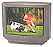 tv.gif (3009 bytes)