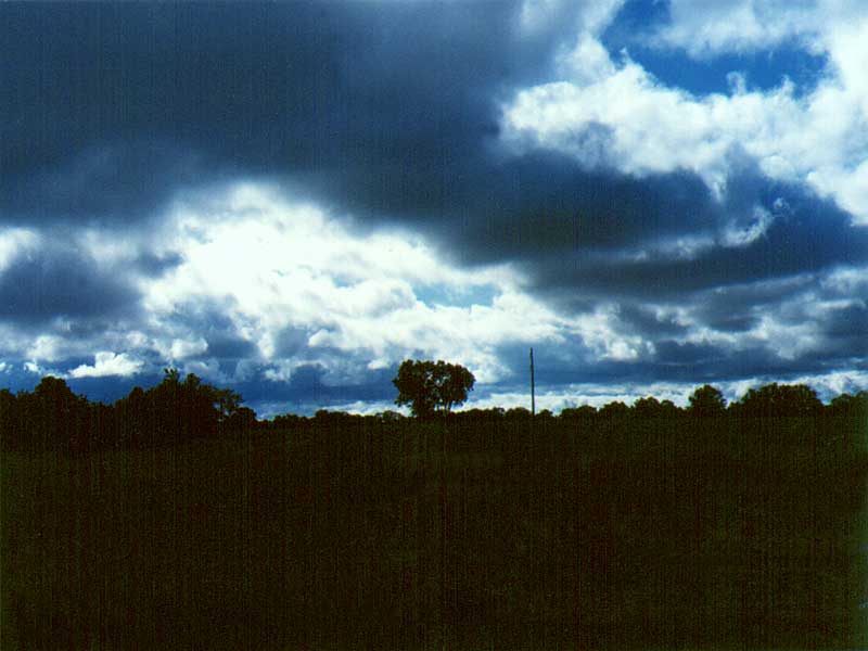 Stormy Weather A threatening day on the farm.