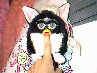 Furbay with my hand