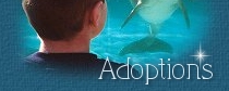 Adoptions too!!