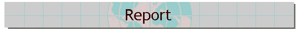 Report