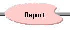 Report