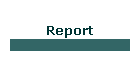Report