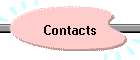 Contacts