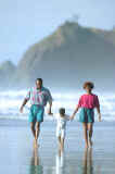 beachwalk.jpg (13645 bytes)