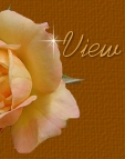 Viee