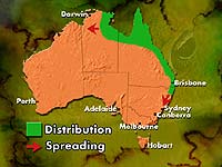 Map showing canetoad advance