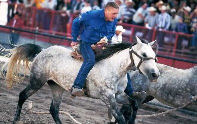 Tim Royle at CFD - 2003
