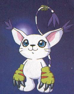 gatomon