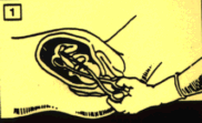 image1